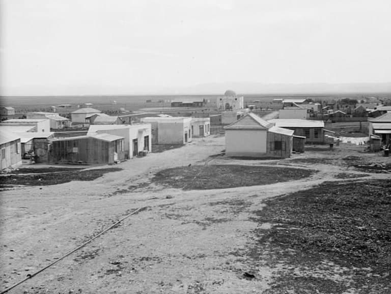 ПОСЕЛЕНИЕ БАЛЬФУРИЯ, ГДЕ ПОЗНЕРЫ ЖИЛИ ПОСЛЕ СВАДЬБЫ.